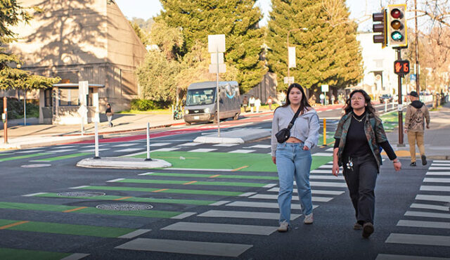 June 2025 Newsletter Header