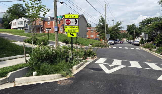 raised crosswalk with plants growing along the side in a stormwater basin